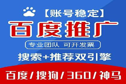 成功背后的力量：SEM推广代运营公司的故事